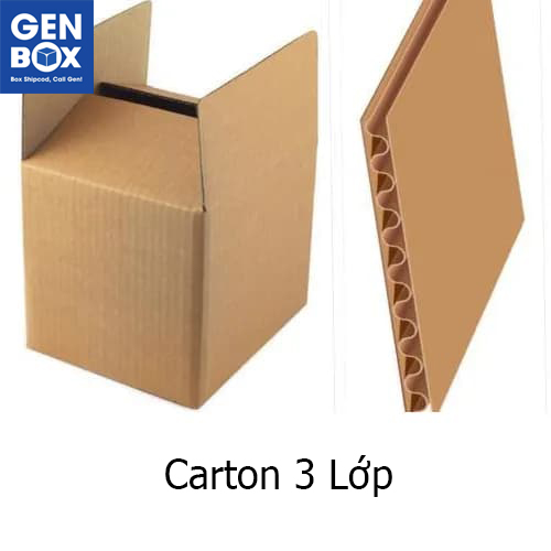 Hộp carton 3 lớp đóng gói hàng nhẹ