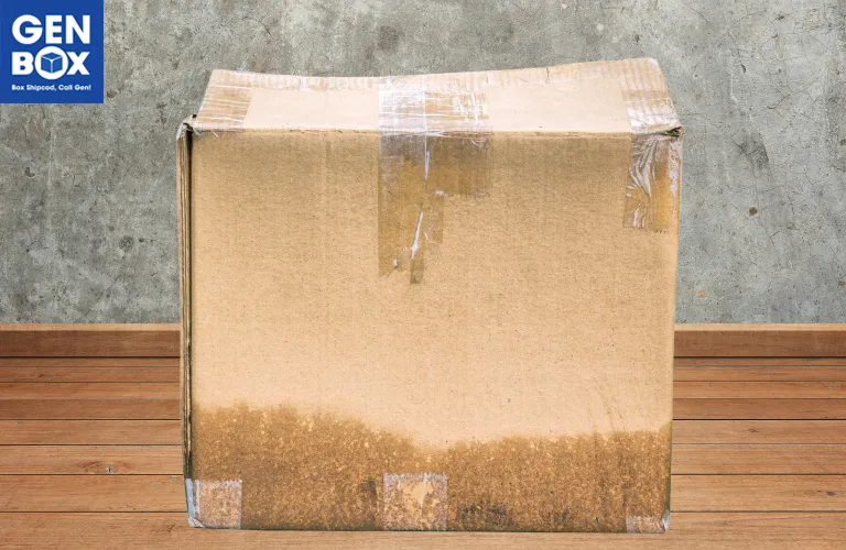 Hộp carton bị ẩm mốc – Nguyên nhân và cách phòng tránh hiệu quả