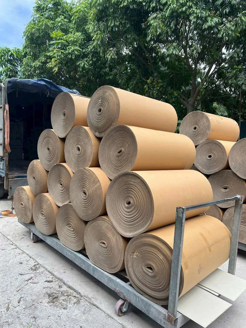 Bìa cuộn Genbox