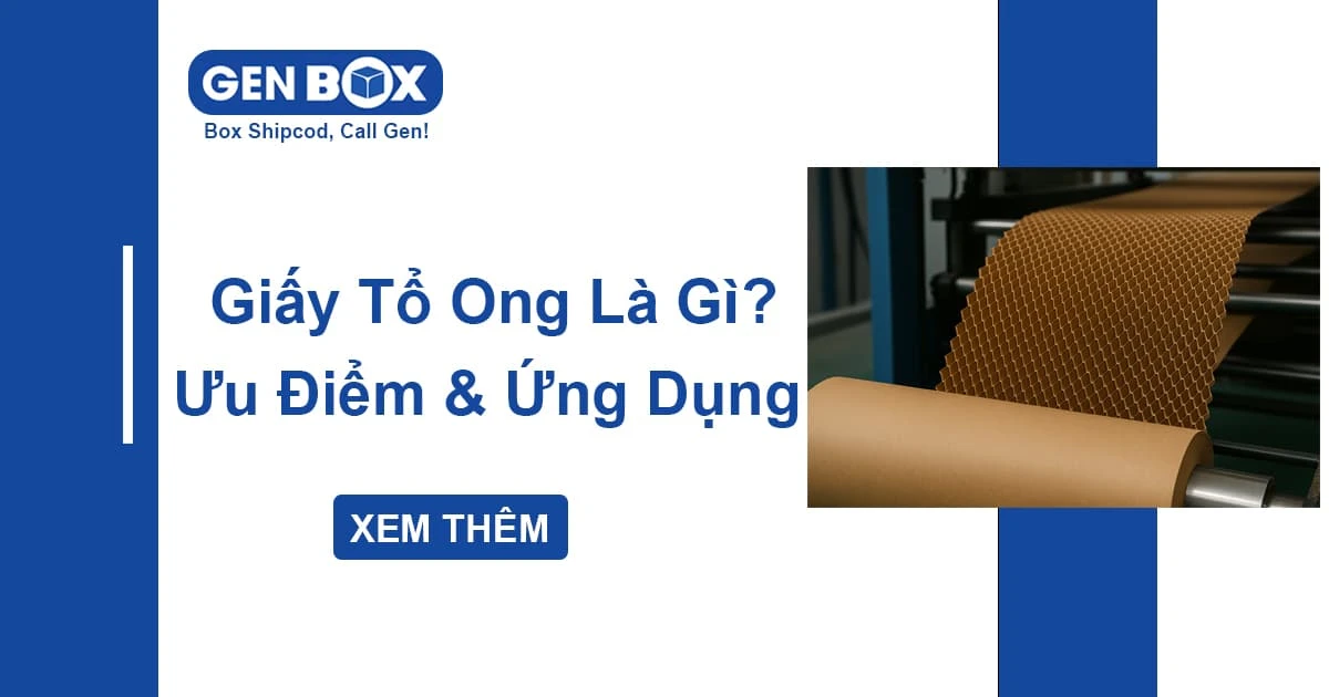 Giấy Tổ Ong Là Gì? Ứng Dụng & Ưu Điểm Vượt Trội