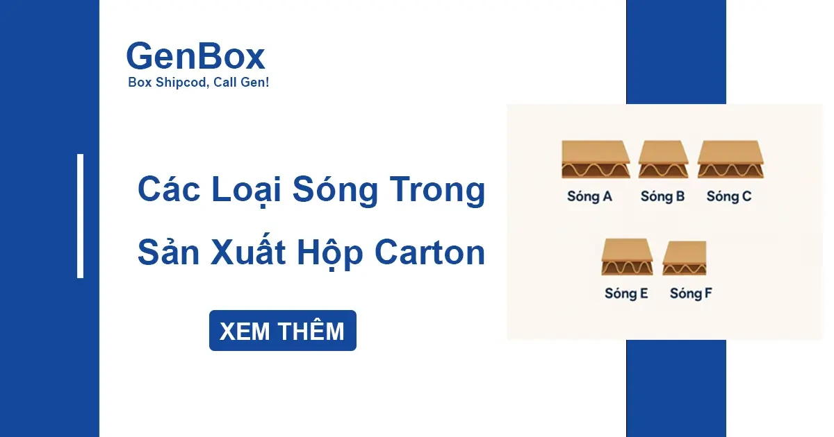Các Loại Sóng Trong Sản Xuất Hộp Carton - Tìm Hiểu Chi Tiết Từng Loại Sóng