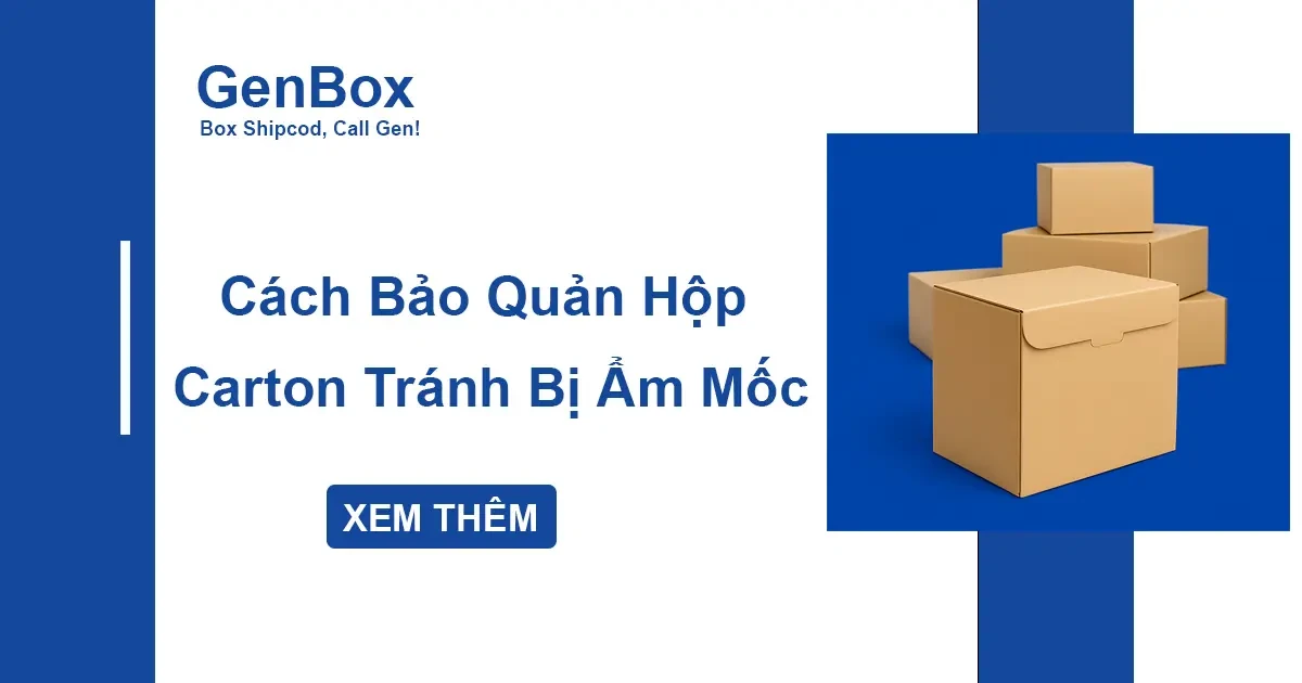 Cách Bảo Quản Hộp Carton Tránh Bị Ẩm Mốc