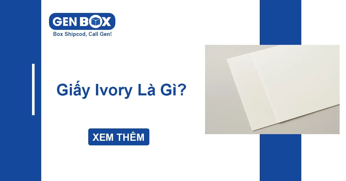 Giấy Ivory Là Gì? Đặc Điểm, Phân Loại & Ứng Dụng Trong In Ấn Bao Bì