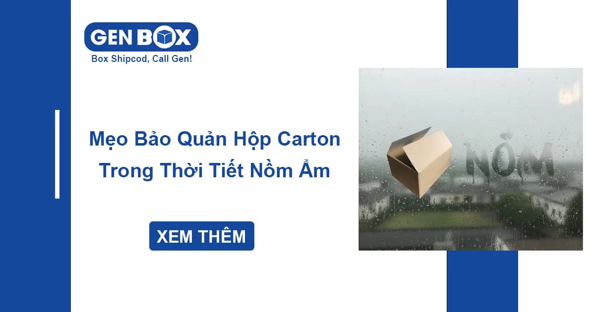 Mẹo Bảo Quản Hộp Carton Trong Thời Tiết Nồm, Ẩm