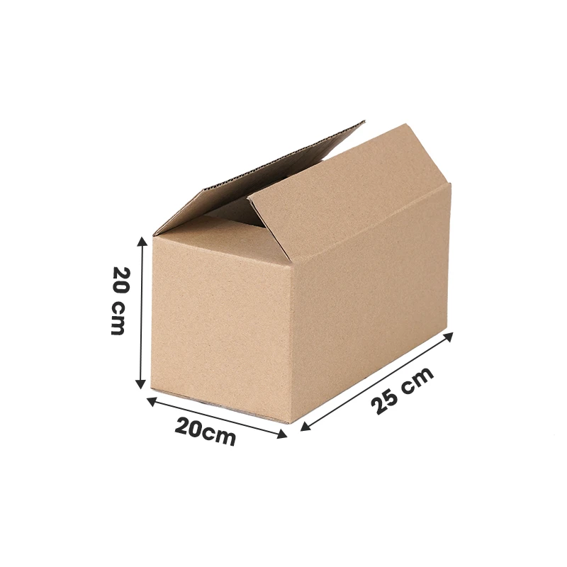 Hộp Carton đối khẩu 25x20x20